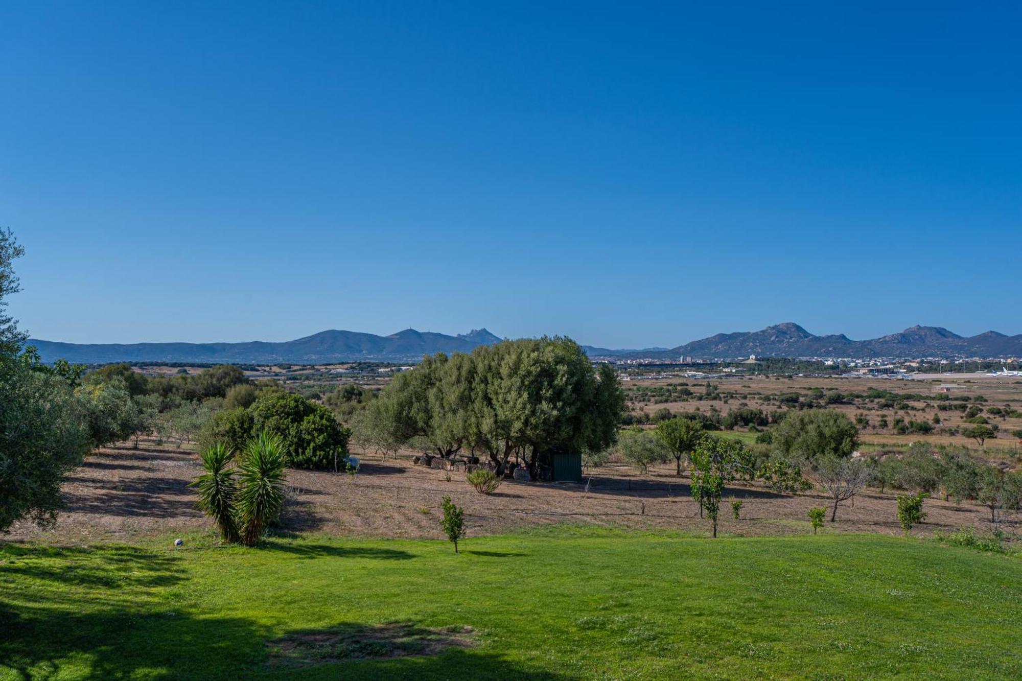 Villa Patrizia-Luxury House Olbia Exteriér fotografie